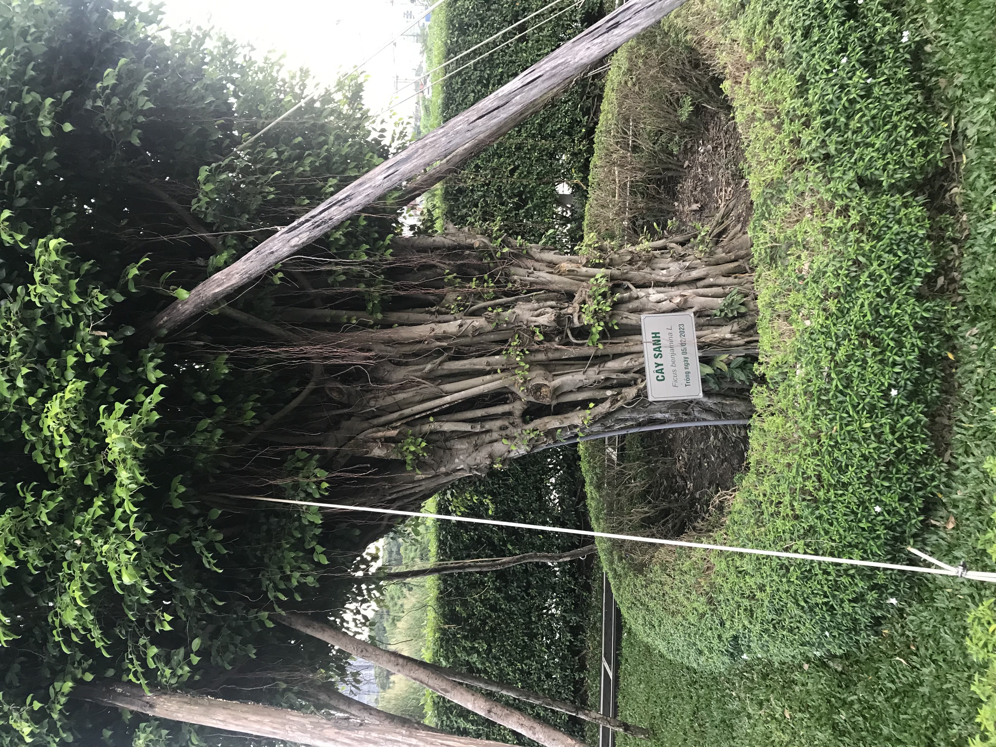 Đôi lời nhắn gửi 8